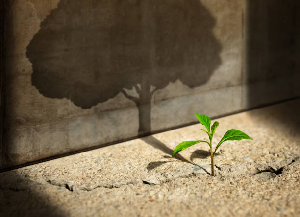 On Purpose - Passion with Action